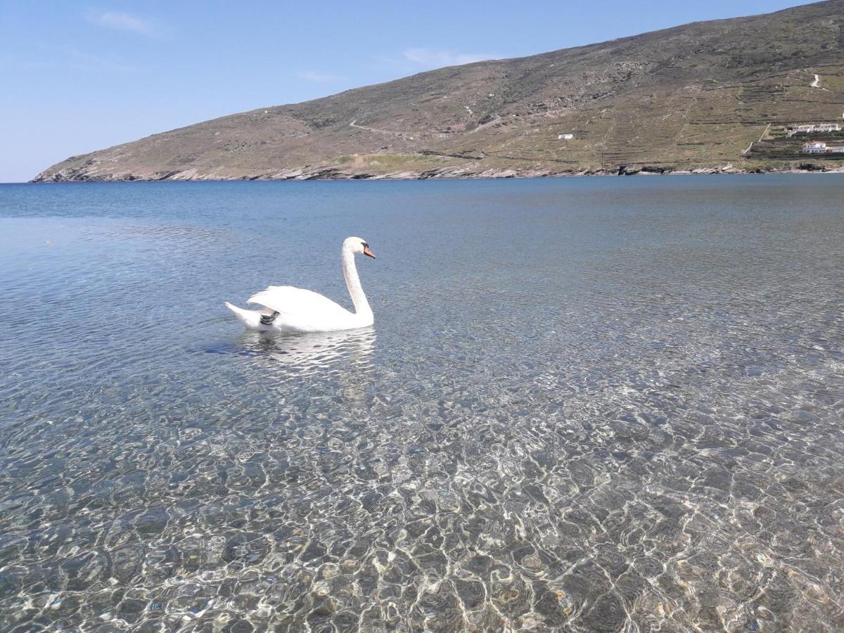 Liopi Village Andros Ormos  외부 사진